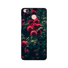 Red Rose Mobile Back Case for Redmi 4 (Design - 66)