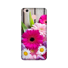 Coloful Daisy2 Mobile Back Case for Redmi 4 (Design - 76)