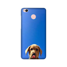 Dog Mobile Back Case for Redmi 4  (Design - 332)