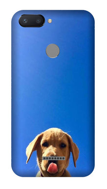 Dog Mobile Back Case for Redmi 6  (Design - 332)