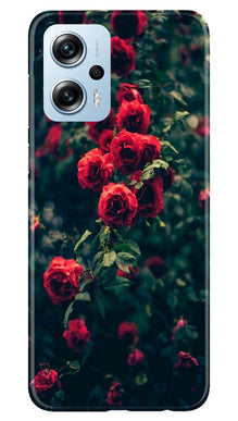 Red Rose Mobile Back Case for Redmi K50i (Design - 66)