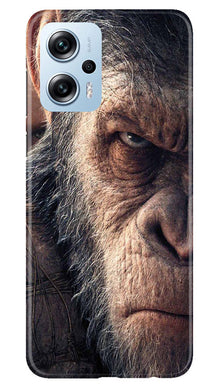 Angry Ape Mobile Back Case for Redmi K50i (Design - 278)