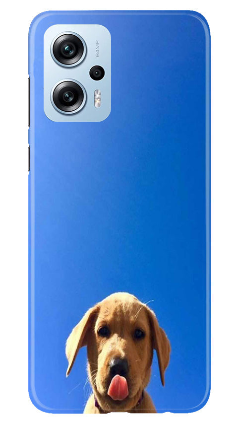 Dog Mobile Back Case for Redmi K50i (Design - 294)