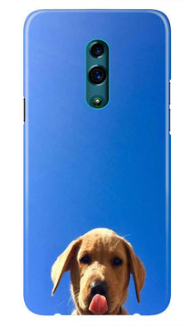 Dog Mobile Back Case for Oppo Reno  (Design - 332)