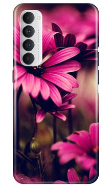 Purple Daisy Mobile Back Case for Oppo Reno4 Pro (Design - 65)