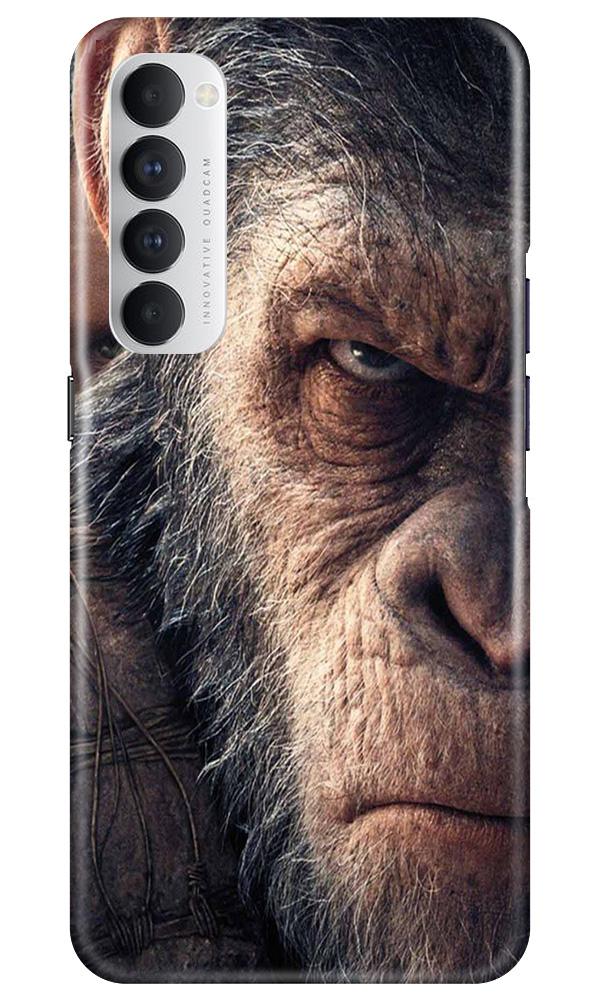 Angry Ape Mobile Back Case for Oppo Reno4 Pro(Design - 316)