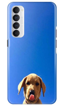 Dog Mobile Back Case for Oppo Reno4 Pro  (Design - 332)