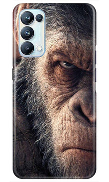 Angry Ape Mobile Back Case for Oppo Reno5 Pro (Design - 316)