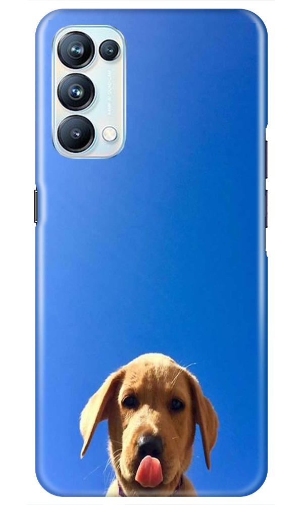Dog Mobile Back Case for Oppo Reno5 Pro (Design - 332)