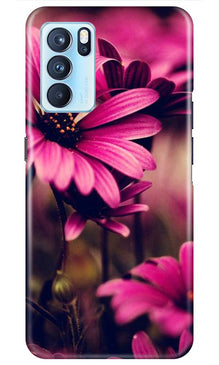 Purple Daisy Mobile Back Case for Oppo Reno6 5G (Design - 65)