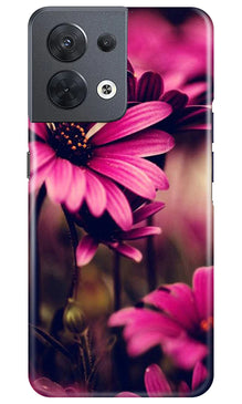 Purple Daisy Mobile Back Case for Oppo Reno 8 5G (Design - 65)