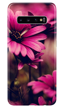 Purple Daisy Mobile Back Case for Samsung Galaxy S10 Plus (Design - 65)