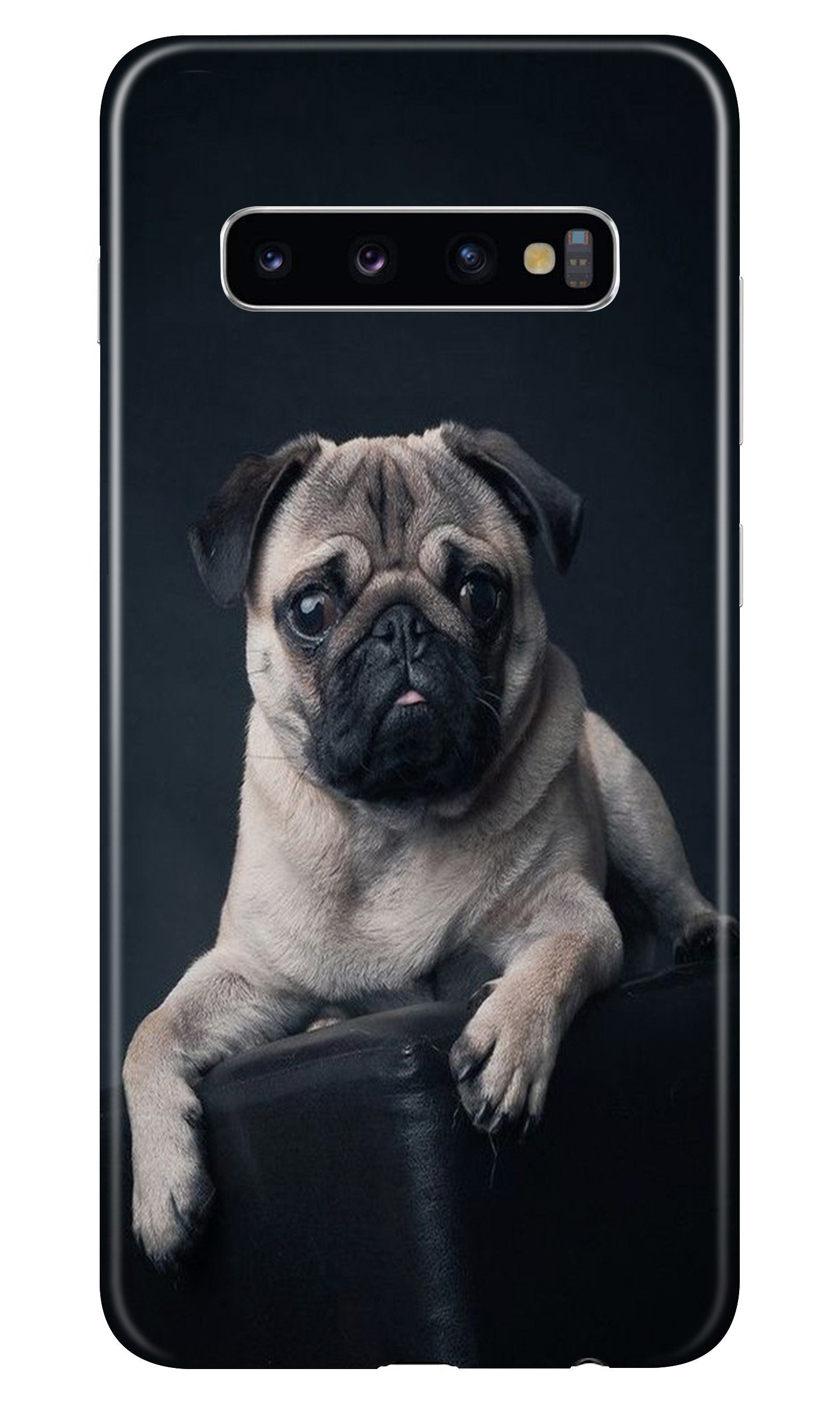 little Puppy Case for Samsung Galaxy S10