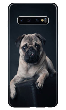 little Puppy Mobile Back Case for Samsung Galaxy S10 (Design - 68)
