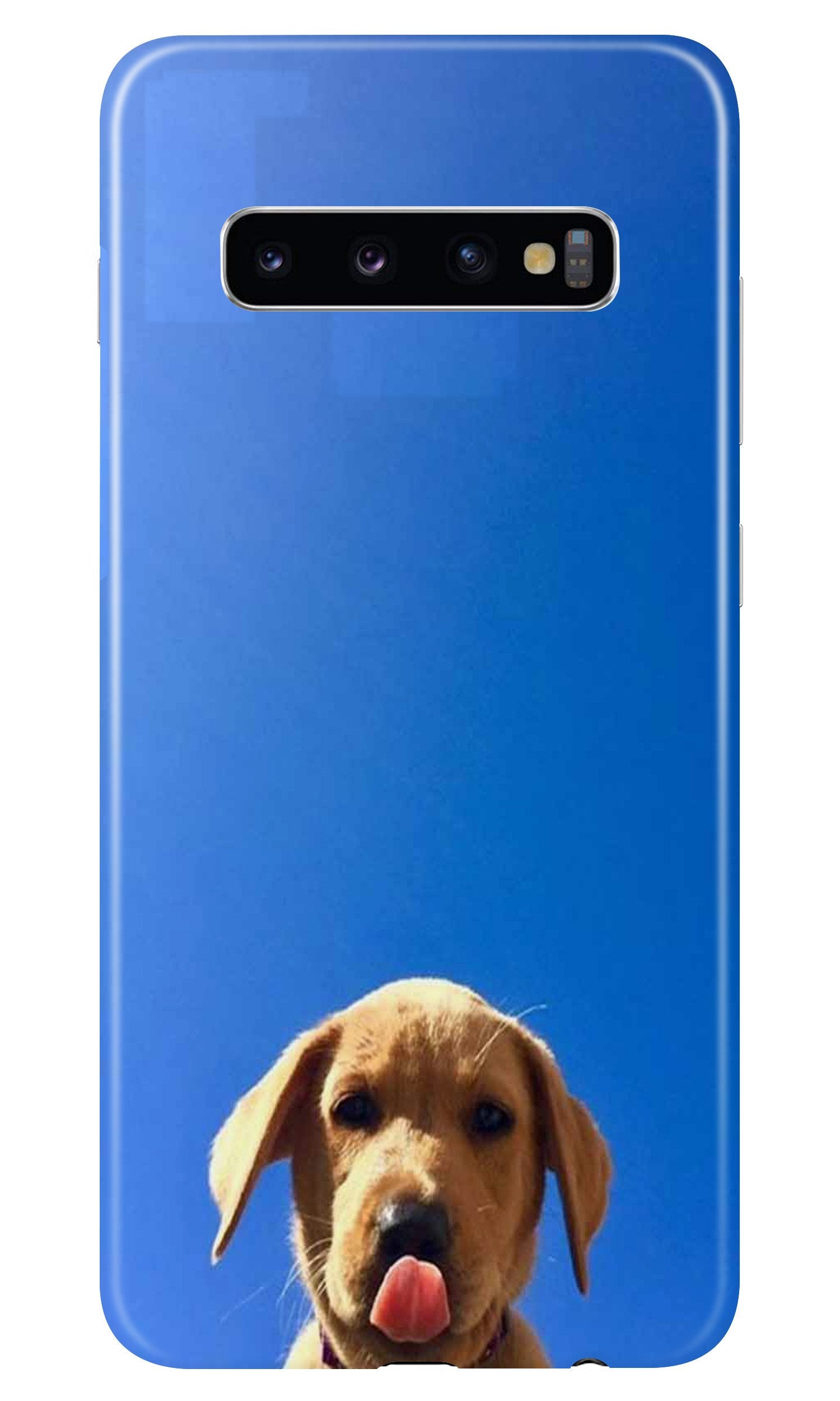 Dog Mobile Back Case for Samsung Galaxy S10  (Design - 332)