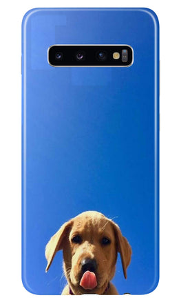 Dog Mobile Back Case for Samsung Galaxy S10(Design - 332)