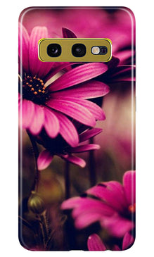 Purple Daisy Mobile Back Case for Samsung Galaxy S10E (Design - 65)
