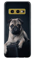 little Puppy Case for Samsung Galaxy S10E
