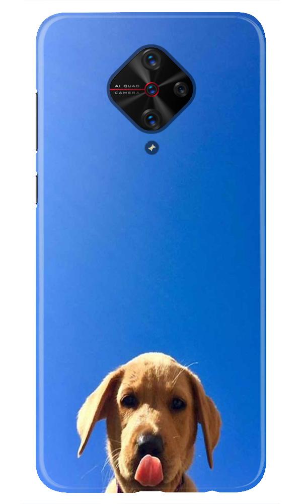 Dog Mobile Back Case for Vivo S1 Pro   (Design - 332)