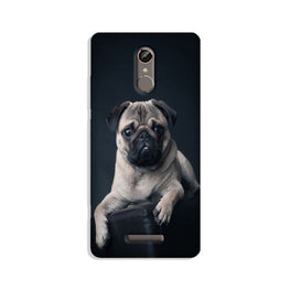 little Puppy Case for Redmi Note 3