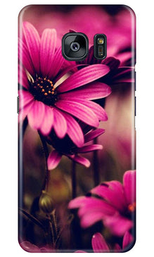 Purple Daisy Mobile Back Case for Samsung Galaxy S7 Edge (Design - 65)