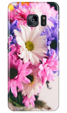 Coloful Daisy Mobile Back Case for Samsung Galaxy S7 Edge (Design - 73)