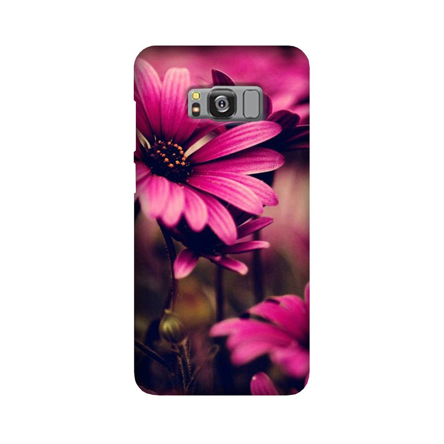 Purple Daisy Case for Galaxy S8 Plus