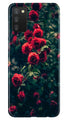 Red Rose Case for Samsung Galaxy A03s