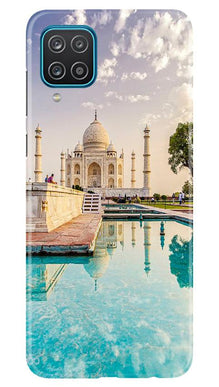 Tajmahal Mobile Back Case for Samsung Galaxy F12 (Design - 96)