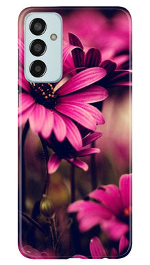 Purple Daisy Mobile Back Case for Samsung Galaxy M13 (Design - 65)