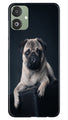 little Puppy Case for Samsung Galaxy F14 5G