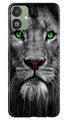 Lion Case for Samsung Galaxy F14 5G (Design No. 241)
