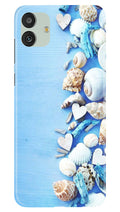Sea Shells2 Case for Samsung Galaxy M13 5G