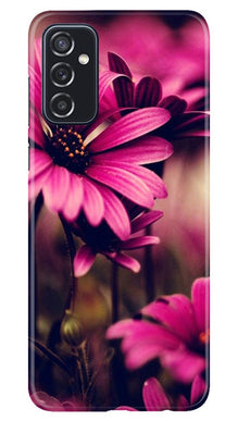 Purple Daisy Mobile Back Case for Samsung Galaxy M52 5G (Design - 65)