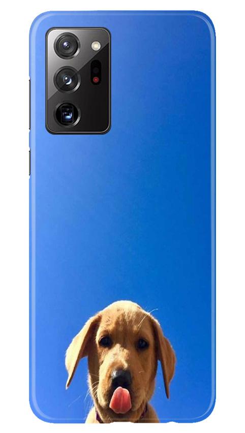 Dog Mobile Back Case for Samsung Galaxy Note 20 (Design - 332)