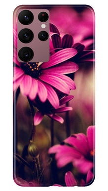 Purple Daisy Mobile Back Case for Samsung Galaxy S22 Ultra (Design - 65)