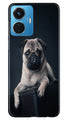 little Puppy Case for Vivo T1 44W