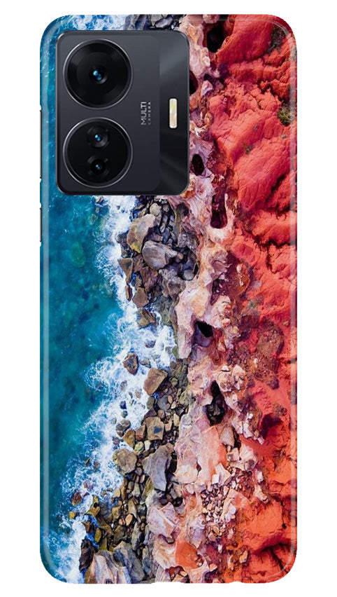 Lion Case for Vivo IQOO Z6 5G (Design No. 241)