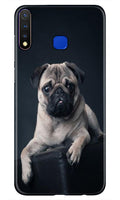 little Puppy Case for Vivo Y19