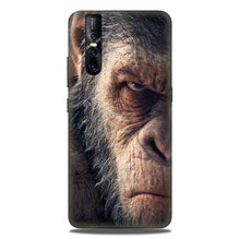 Angry Ape Mobile Back Case for Vivo V15 Pro   (Design - 316)