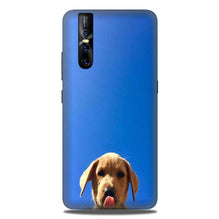 Dog Mobile Back Case for Vivo V15 Pro   (Design - 332)