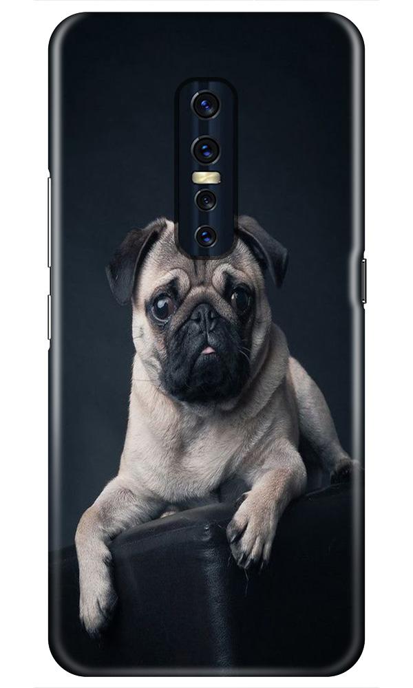little Puppy Case for Vivo V17 Pro