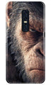 Angry Ape Mobile Back Case for Vivo V17 Pro   (Design - 316)
