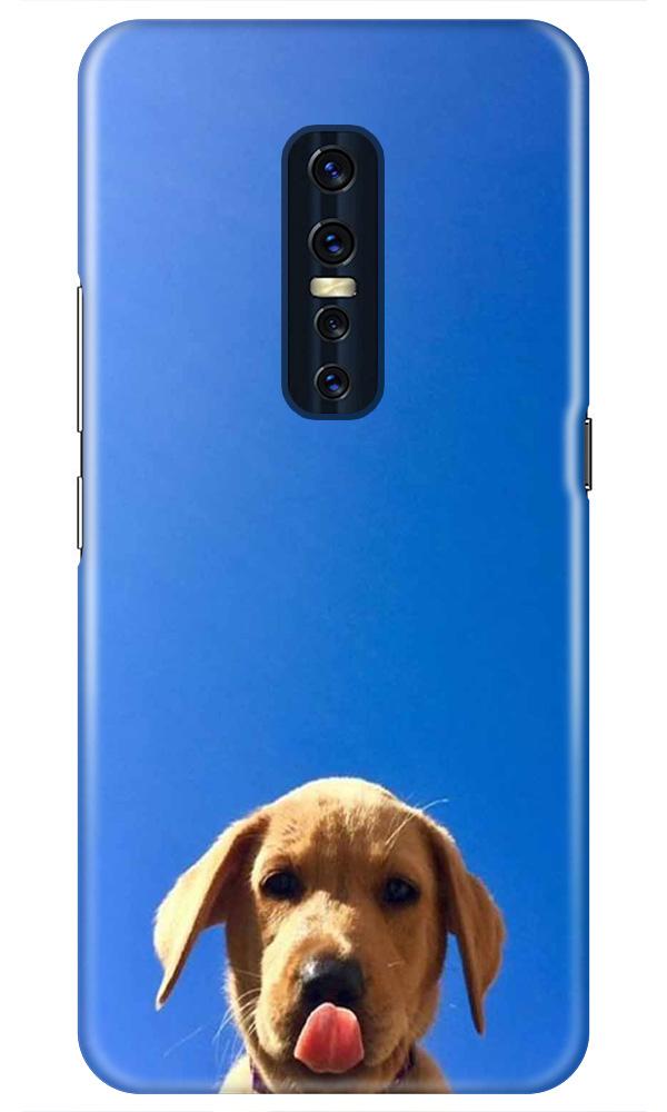 Dog Mobile Back Case for Vivo V17 Pro   (Design - 332)