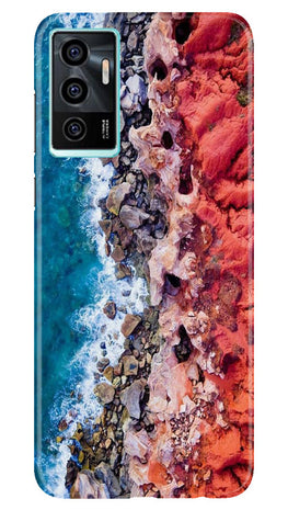 Lion Case for Vivo V23E 5G (Design No. 241)