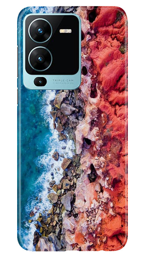 Lion Case for Vivo V25 Pro 5G (Design No. 241)