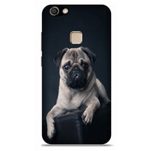 little Puppy Case for Vivo V7