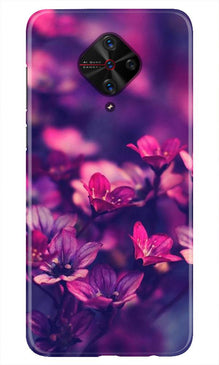 flowers Mobile Back Case for Vivo S1 Pro (Design - 25)