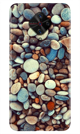 Pebbles Case for Vivo S1 Pro (Design - 205)