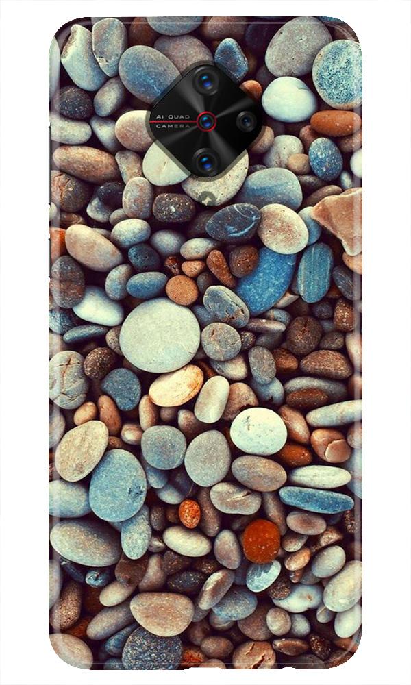 Pebbles Case for Vivo S1 Pro (Design - 205)